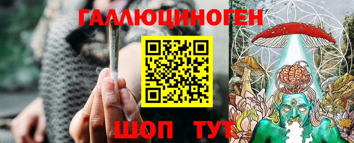 Красногорск  Галлюциногенные грибы Psilocybine cubensis  Вход с VPN 